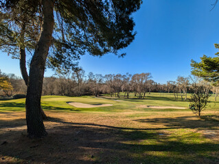 golf course, recreation, grass, trees, green, recreation, view,