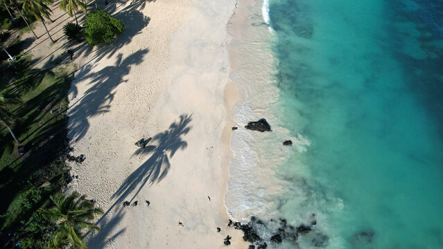 Aerial view of sandy beach and palm tree shadow, Mitsamiouli, Grande Comore, Comoros