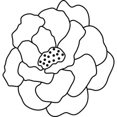 Flower Line Decoration