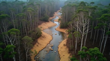 The once lush riverbanks are now bare and crumbling, revealing the underlying geology and the destructive power of erosion. The river itself is reduced to a series of shallow pools