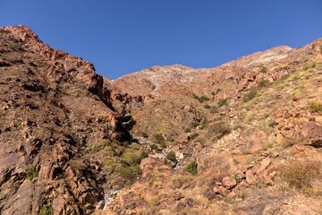 Fototapeta premium View of rocky hills with clear blue sky in Taif city, Saudi Arabia