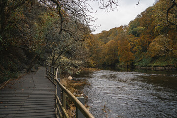 Obraz premium An old stone mill house rests on a moss-covered rocky outcrop, surrounded by autumn foliage and lush greenery. A traditional wheel adorns its side, while a gently flowing river and bare tree branches 