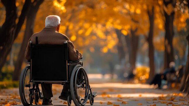 Abuelo mayor sentado en una silla de ruedas observa un parque en oto&ntilde;o