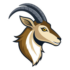 markhor head vector illustration on white background