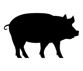 Pig black silhouette vector illustration.