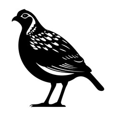 Quail black silhouette vector illustration.