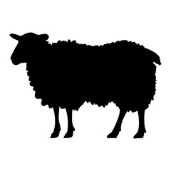 Sheep black silhouette vector illustration.