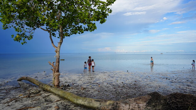 people on a mangroove beach