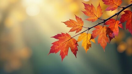 Fototapeta premium Autumnal Branch with Vibrant Red and Gold Leaves Illuminated by Soft Sunlight