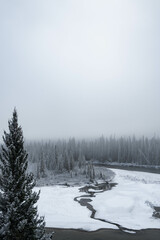 Winter landscape in Alberta, Canada with a river and conifer trees