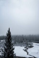 Winter landscape in Alberta, Canada with a river and conifer trees