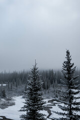 Winter landscape in Alberta, Canada with a river and conifer trees