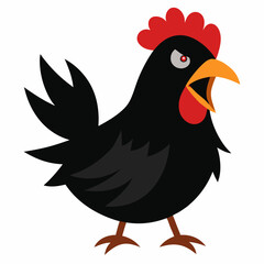 angry chicken illustration