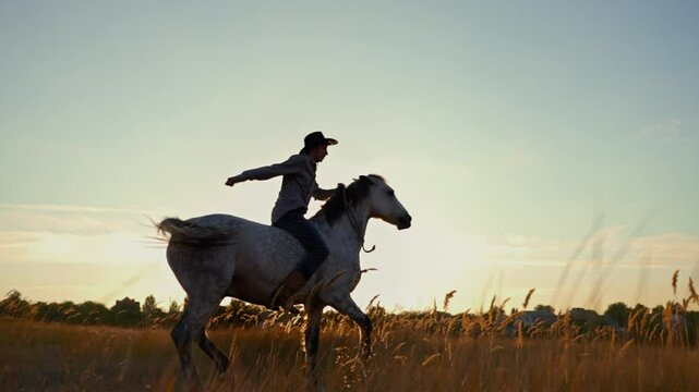 Man in cowboy costume training a horse at sunset.