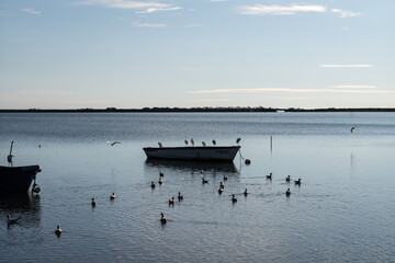 boats on the beach