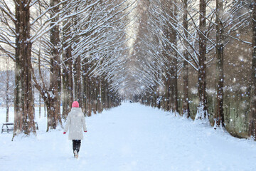 Snowy winter scenery of Metasequire Road in Damyang, Jeollanam-do, Korea