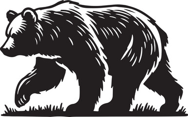 illustration of a bear