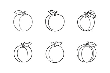 apricot line art vector illustration