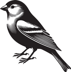 Obraz premium bird on a branch