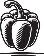 hand drawn illustration of an pumpkin 