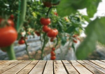 Wooden table top on blur tomato field background in daytime.Harvest rice or whole wheat.For montage product display or design key visual layout.View of copy space.
