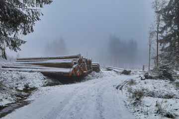 Am Rennsteig Teich bei Nebel und Schnee, Schmiedefeld am Rennsteig, Stadt Suhl, Thüringen, Deutschland	