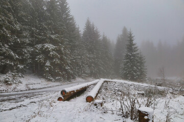 Am Rennsteig Teich bei Nebel und Schnee, Schmiedefeld am Rennsteig, Stadt Suhl, Thüringen, Deutschland	