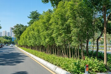 Fototapeta premium Green corridor in a bustling city filled with trees and lush greenery