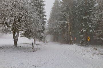 Rennsteig im Thüringer Wald bei Schnee und Nebel in der Nähe vom Bahnhof Rennsteig, Schmiedefeld am Rennsteig, Stadt Suhl, Thüringen, Deutschland	