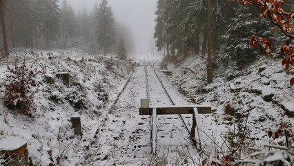 Gleis, Schiene mit Blick auf den Bahnhof Rennsteig bei Schnee und Nebel, Schmiedefeld am Rennsteig, Stadt Suhl, Thüringen, Deutschland	