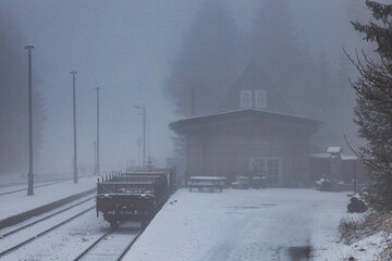 Blick auf den Bahnhof Rennsteig bei Schnee und Nebel, Schmiedefeld am Rennsteig, Stadt Suhl, Thüringen, Deutschland 