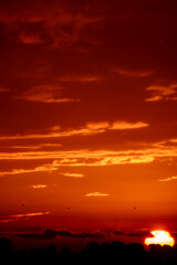 sunset over the sea