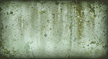 Abstract grunge background with border. Mold, moss, fungus on a concrete wall. Gray green wall with mold texture. Panoramic. Grunge texture with copy space for design. Wide banner.