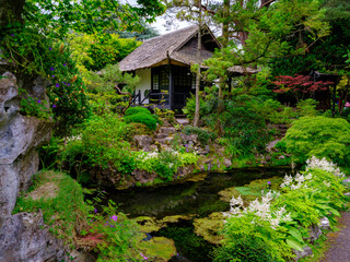 View of the Japanese gardens at the Irish National Stud, Kildare in Ireland