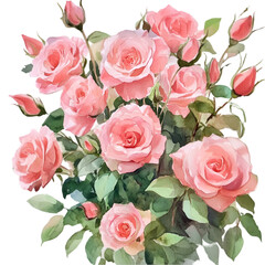 Watercolor beautiful flower bouquet vector illustration