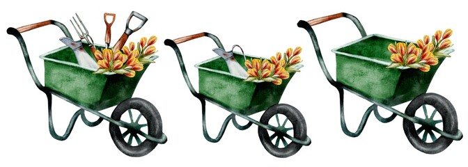 Colorful wheelbarrows filled with garden tools and flowers in a bright outdoor setting
