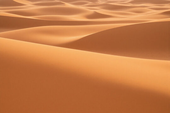 Sandy dune field at sunset with undulating curves