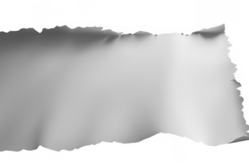 Sheet of smooth white paper with torn edges on three sides, top, bottom and right, on white background, png, no background, on transparent background, isolated, mockup