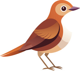 Nightngale design art and illustrator eps