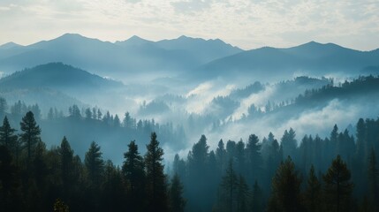 Obraz premium Smoky Mountainside at Dusk with Soft Light
