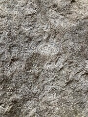 岩石の表面、質感、背景画像