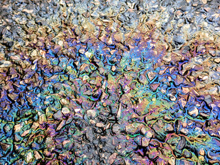 Oil Petrol Pollution Rainbow Gasoline Leak on Pavement