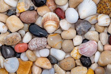 A close-up of seashells and smooth pebbles on an Ibiza beach, with soft waves in the background