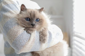 Woman with cute kitten at home, closeup