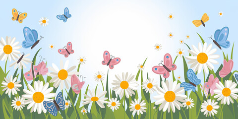 Spring Meadow Butterflies Daisies Flowers Nature Background