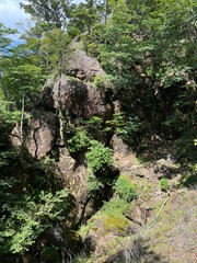 祖母山登山道