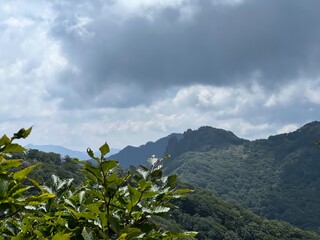 祖母山登山道