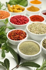 Different aromatic spices and herbs on white background, closeup