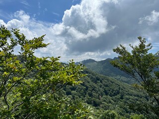 祖母山登山道