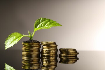 Money growth concept. Coins and sprout with soil on mirror surface. Space for text